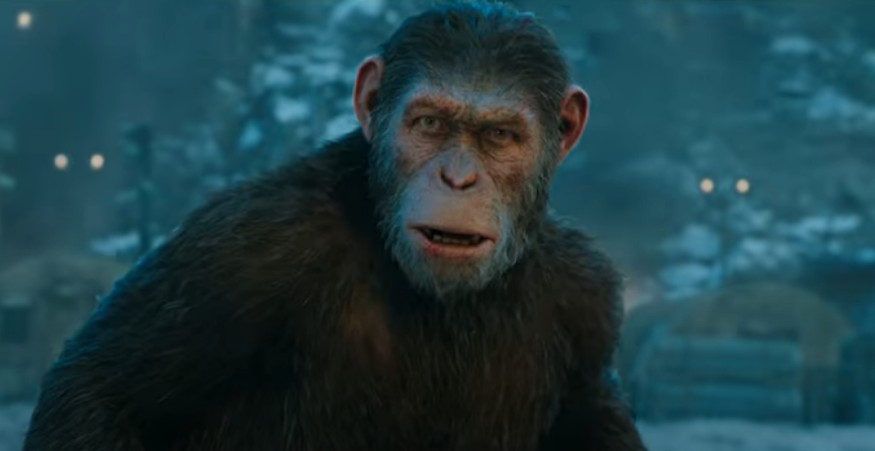 film-planeta-majmuna-2022